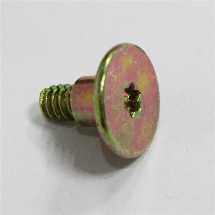 star socket screw (4)