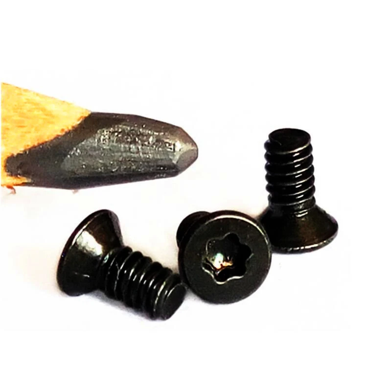 Mini torx screw 1